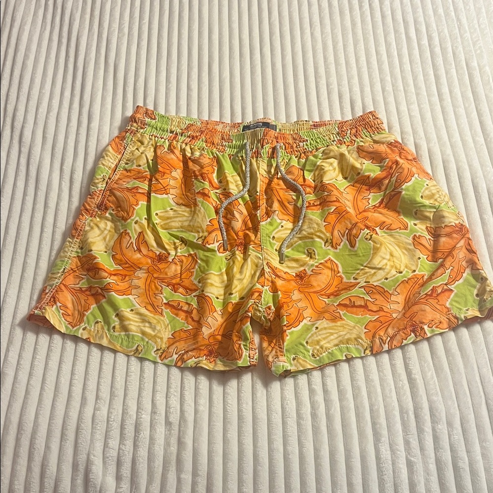 Vilebrequin Orange and Green Athletic Shorts
